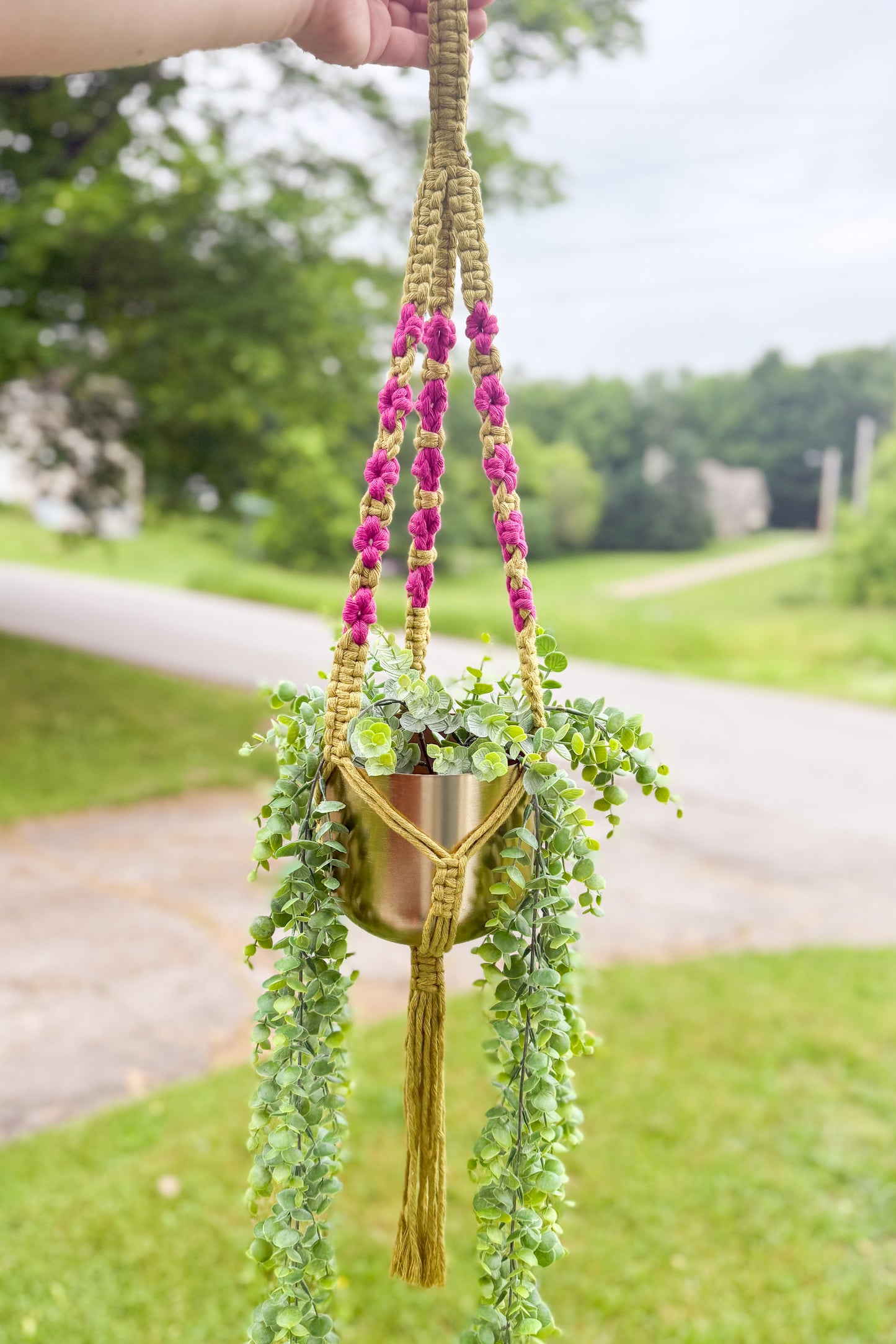 Daisy Plant Hanger