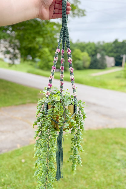 Daisy Plant Hanger